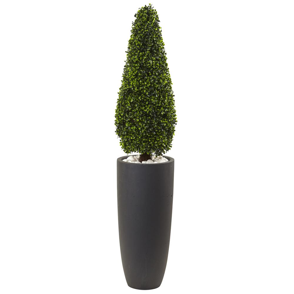 50in. Boxwood Topiary with Gray Cylindrical Planter UV Resistant (Indoor/Outdoor). Picture 1