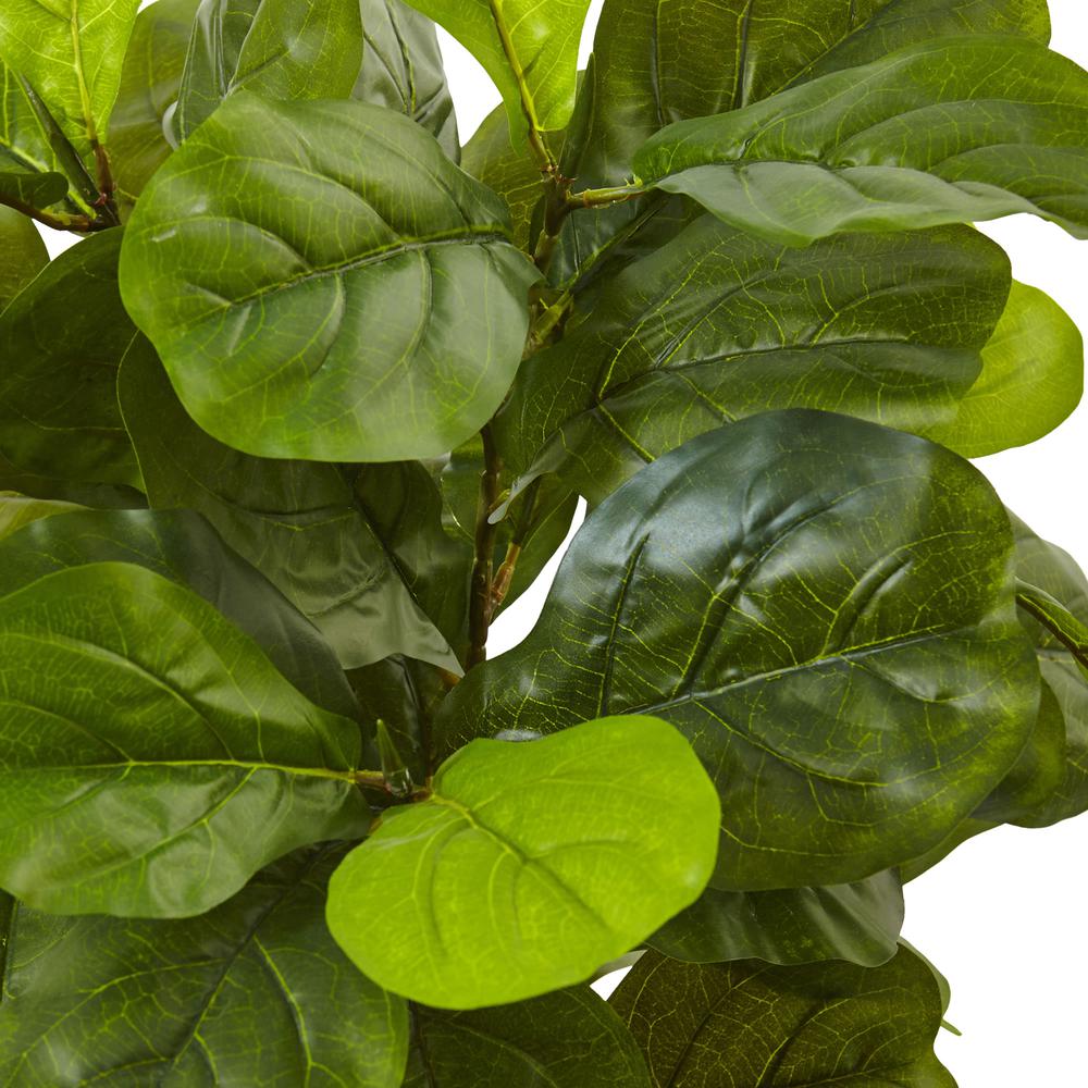4.5ft. Fiddle Leaf Fig in White Planter (Real Touch). Picture 3