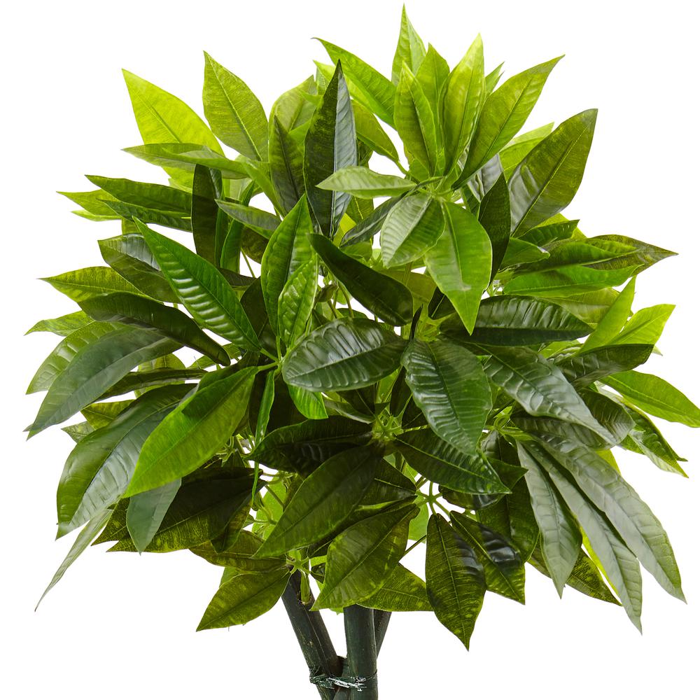 5ft. Money Artificial Tree in Black Square Planter. Picture 2