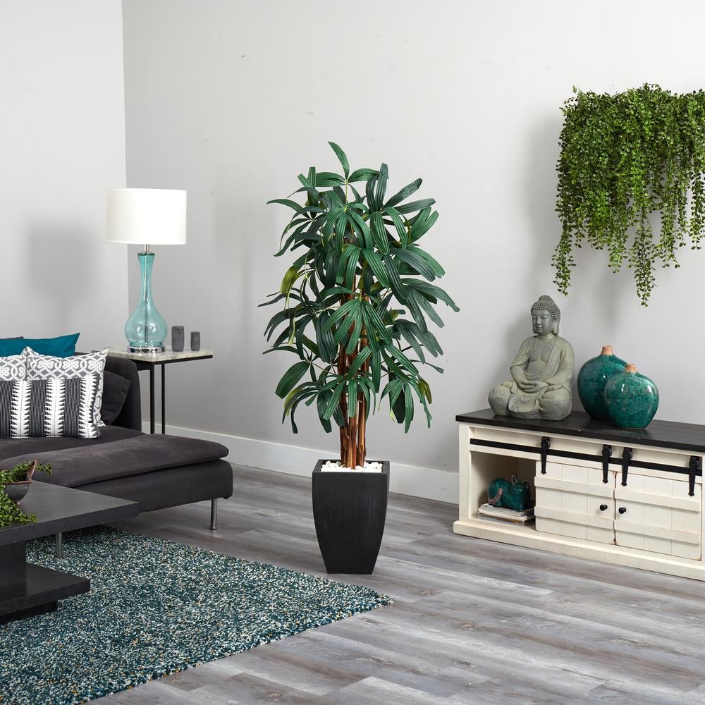 5.5ft. Raphis Palm Artificial Tree in Black Planter. Picture 5