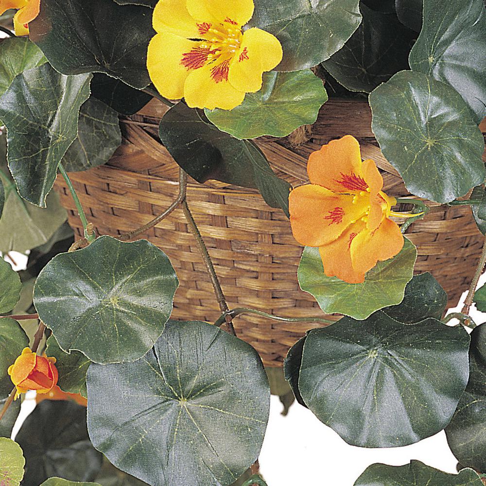Nasturtium Silk Hanging Basket. Picture 2