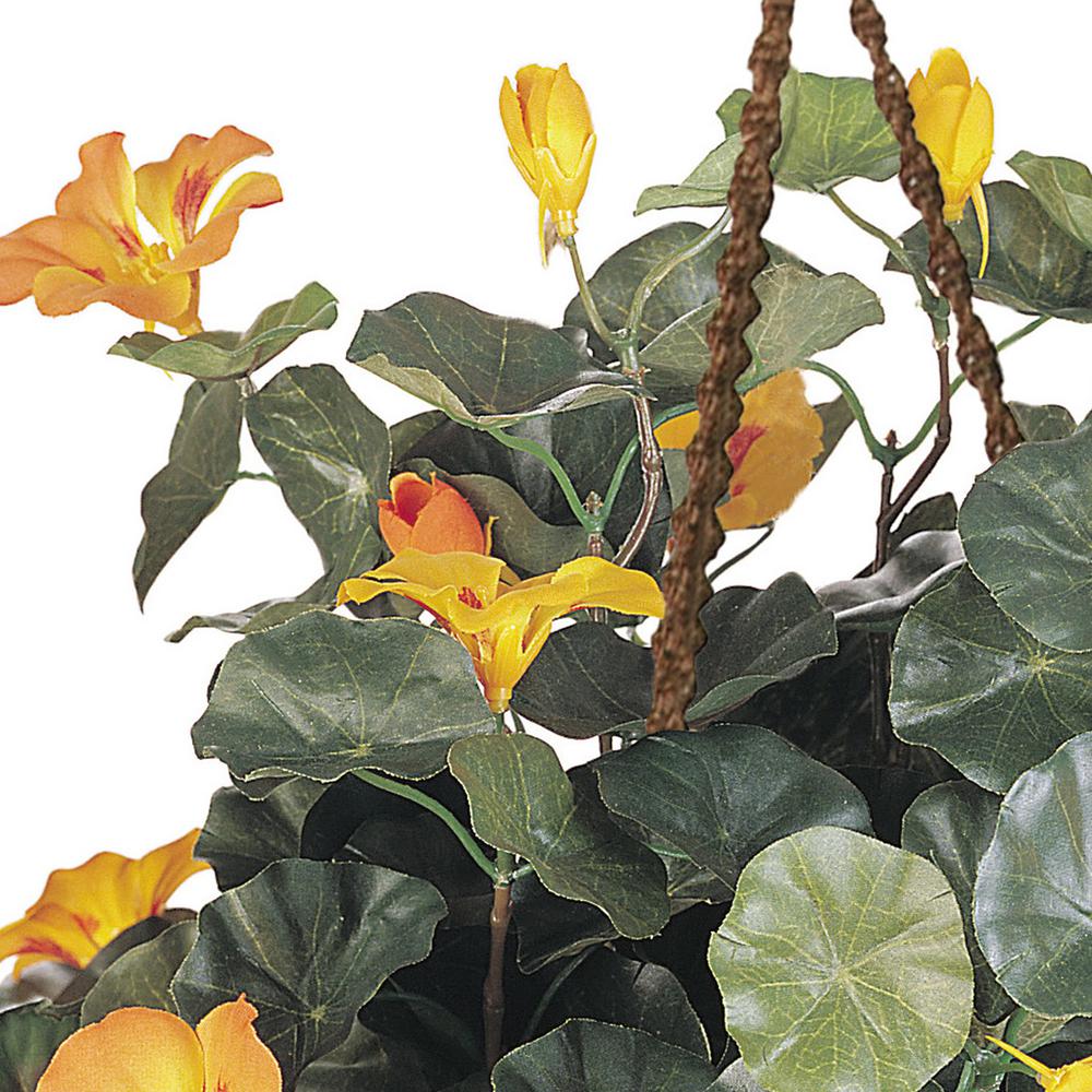 Nasturtium Silk Hanging Basket. Picture 3