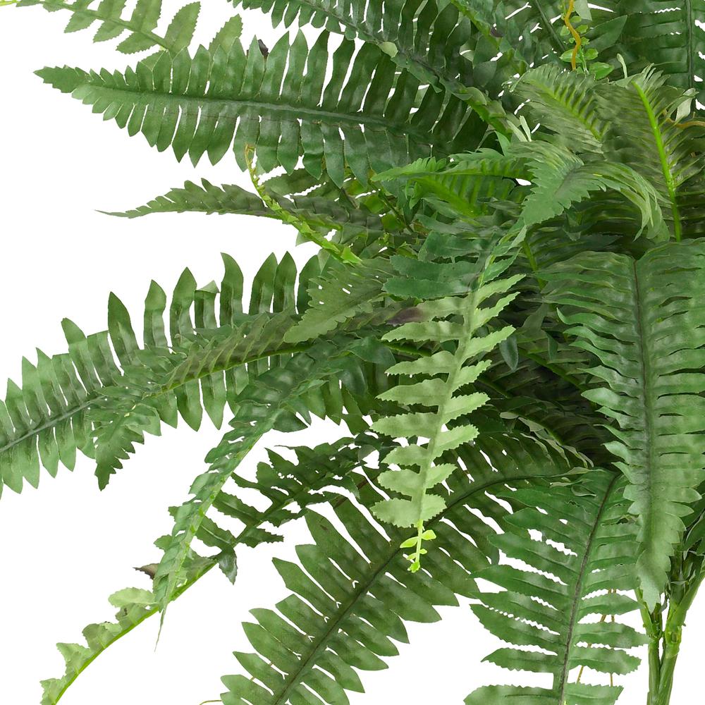 40in. Boston Fern (Set of 2). Picture 3