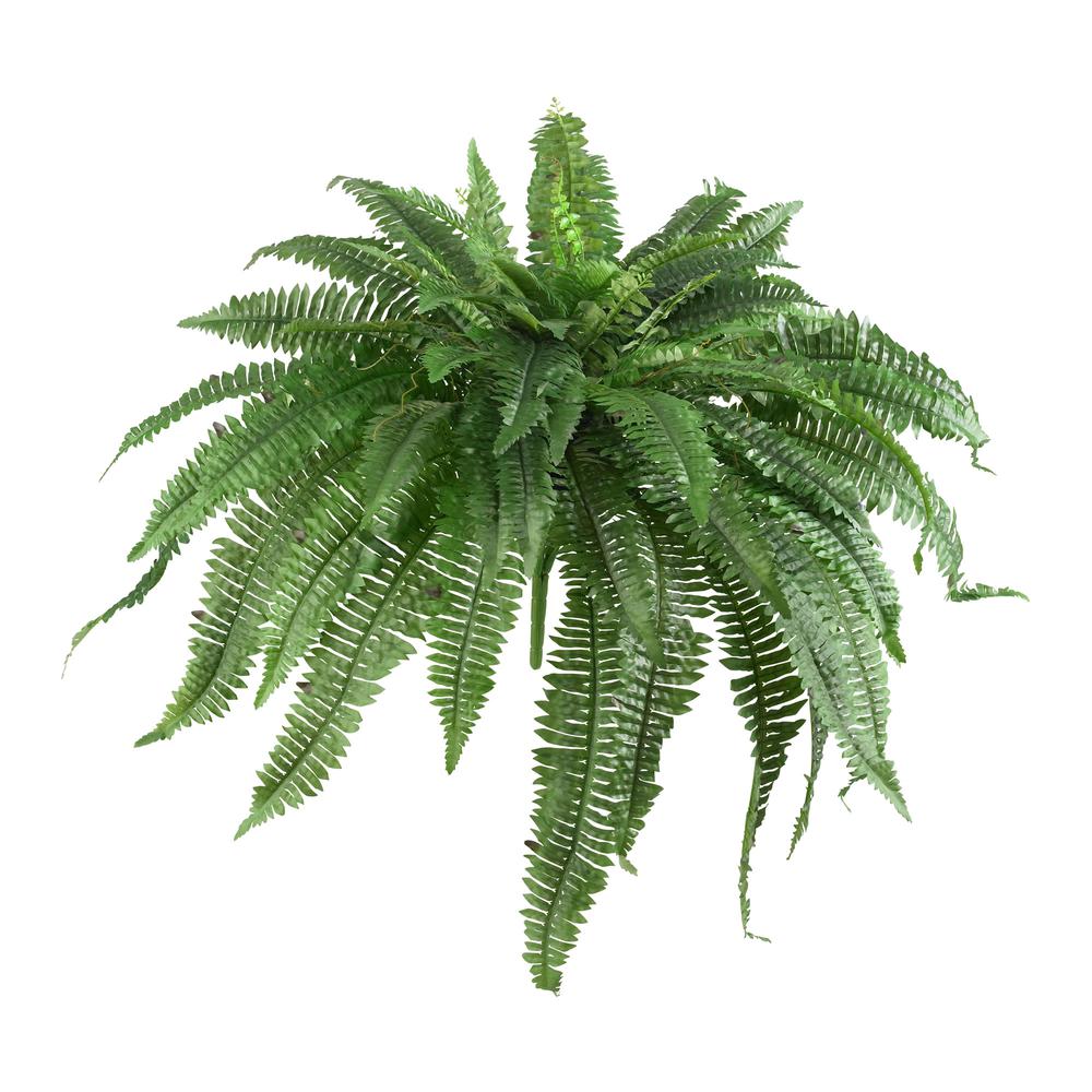 48in. Boston Fern (Set of 2). Picture 1