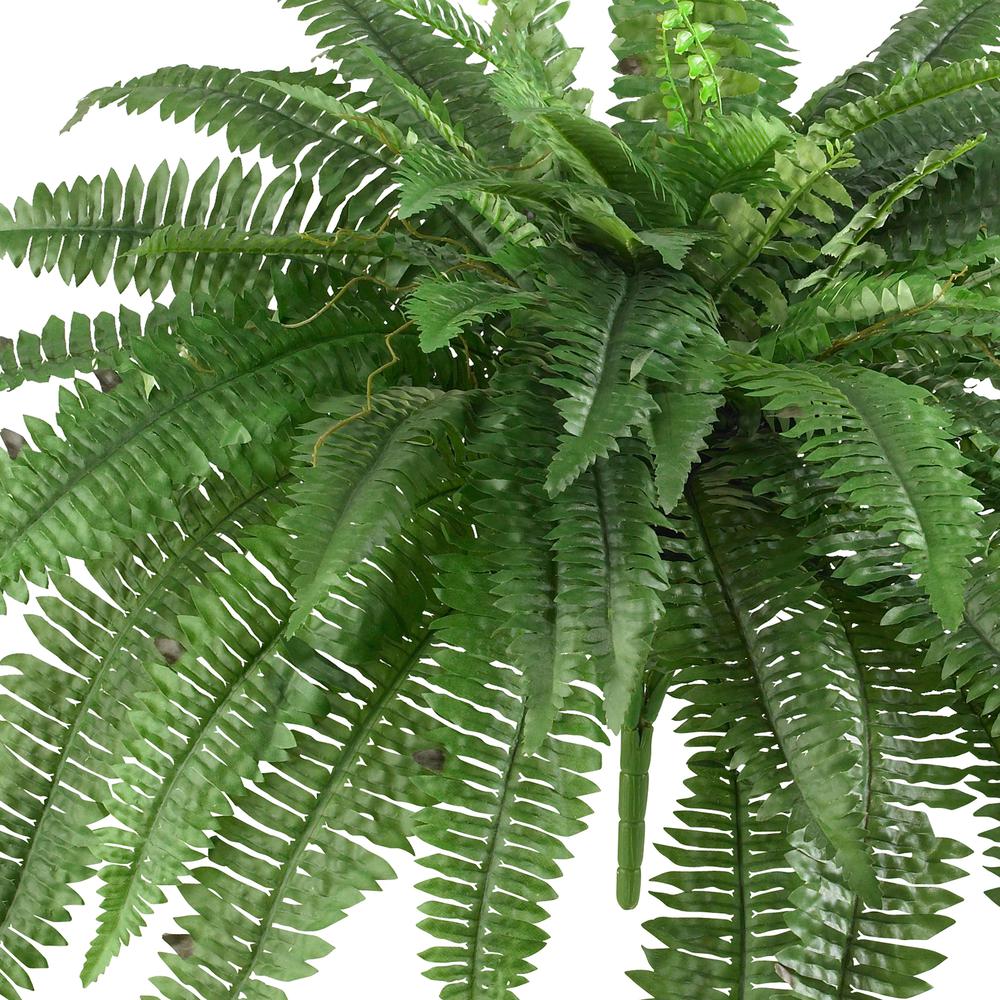 48in. Boston Fern (Set of 2). Picture 2