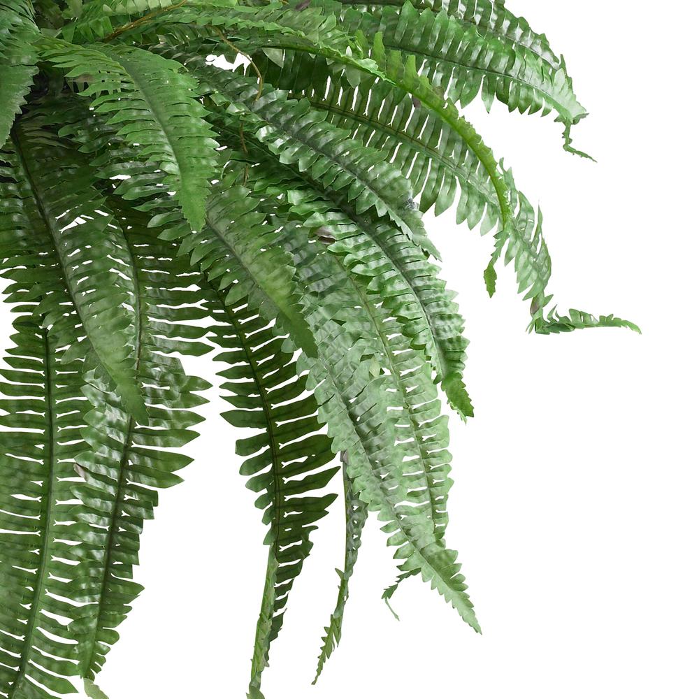 48in. Boston Fern (Set of 2). Picture 3