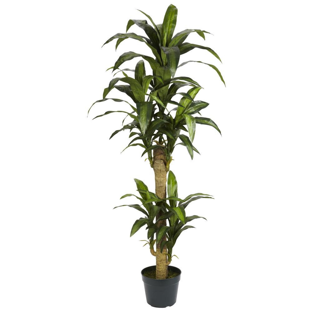 5ft. Yucca Silk Plant. Picture 1