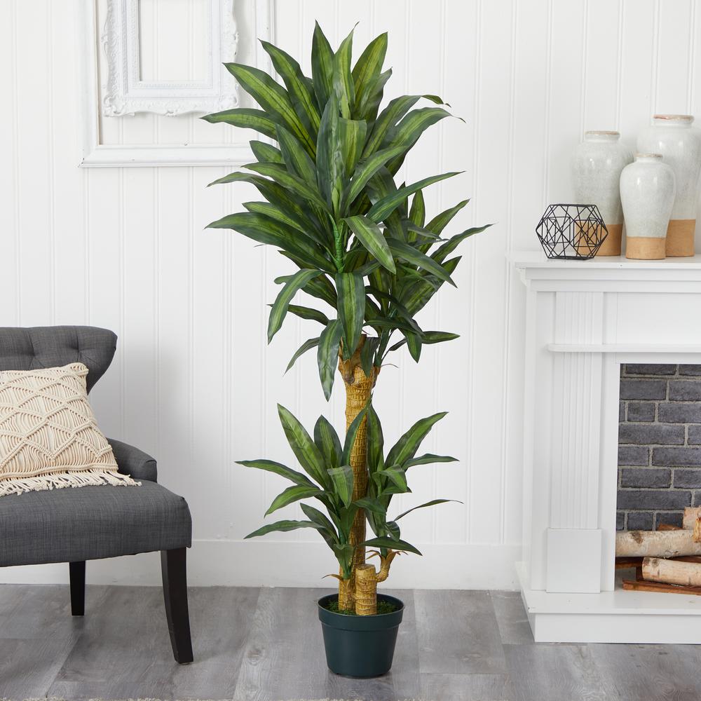 5ft. Yucca Silk Plant. Picture 3