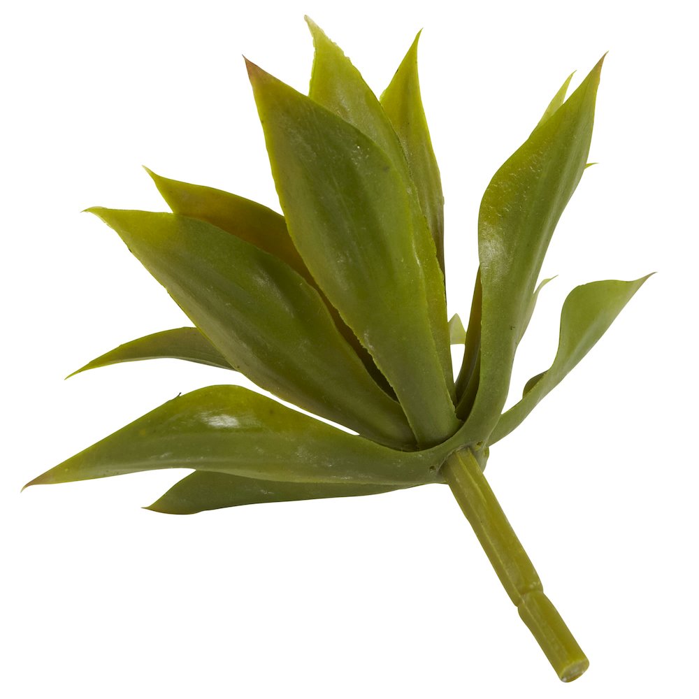 Mini Agave Succulent Plant (Set of 12). Picture 5