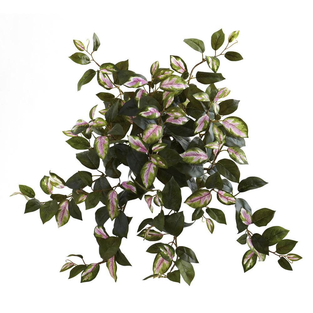 21in. Hoya Hanging Bush (Set of 4). Picture 1
