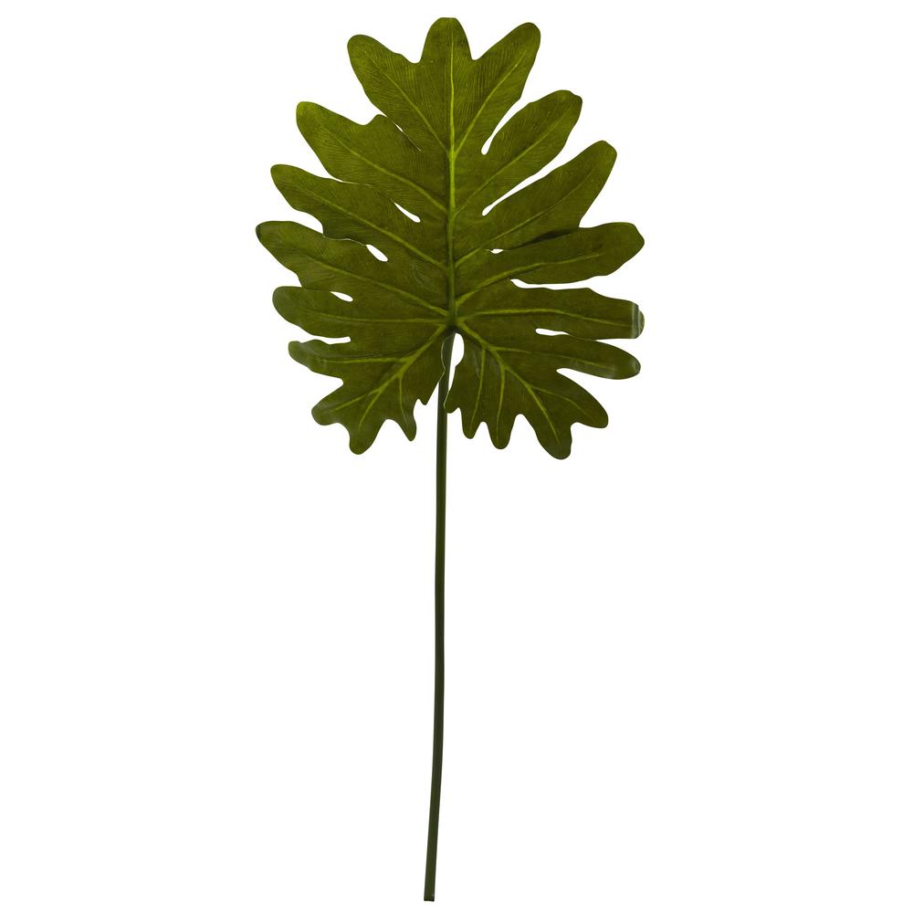 Selloum Philo Single Leaf Stem (Set of 12). Picture 1