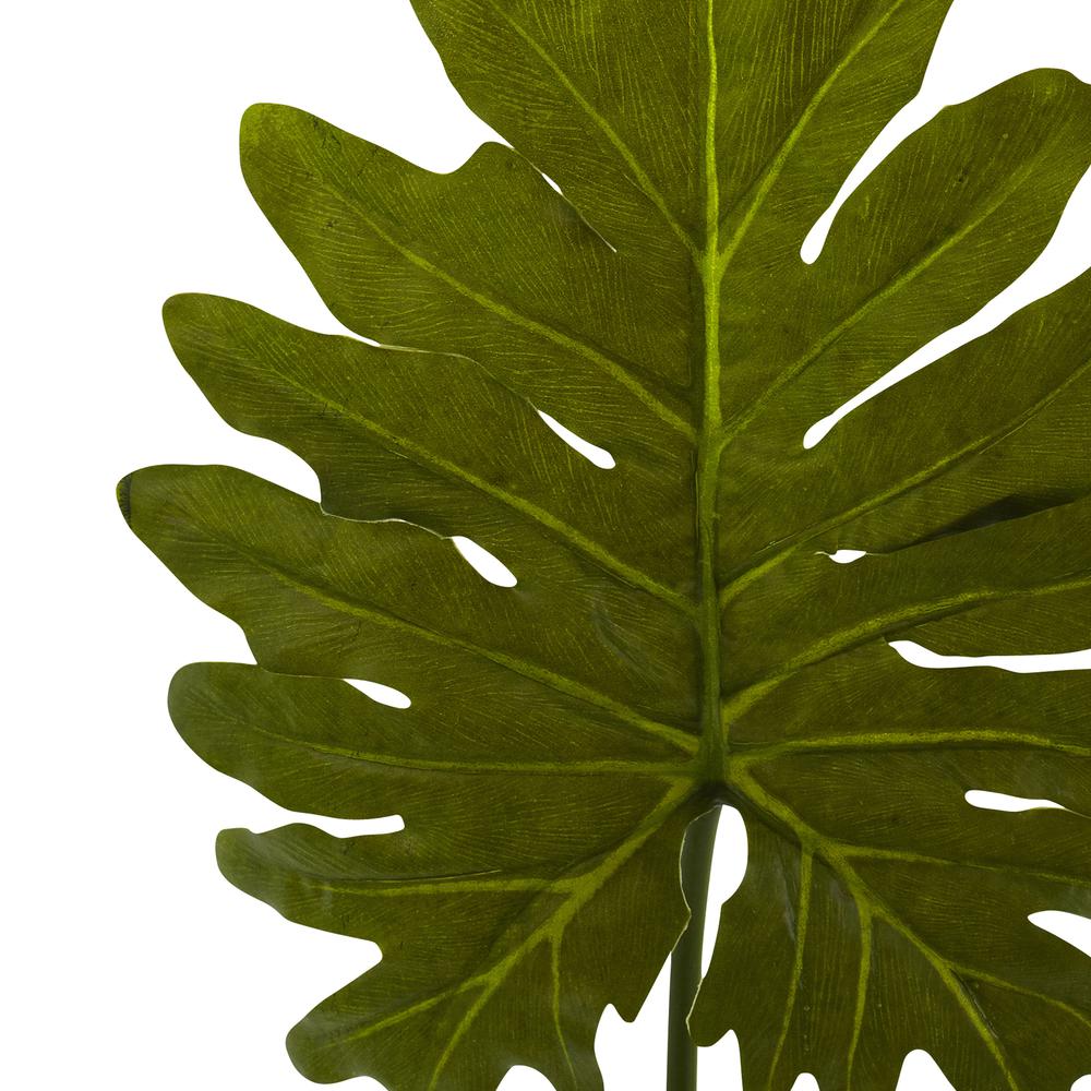 Selloum Philo Single Leaf Stem (Set of 12). Picture 2