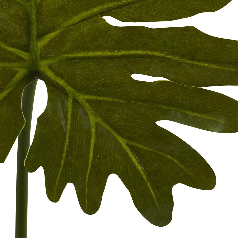 Selloum Philo Single Leaf Stem (Set of 12). Picture 3