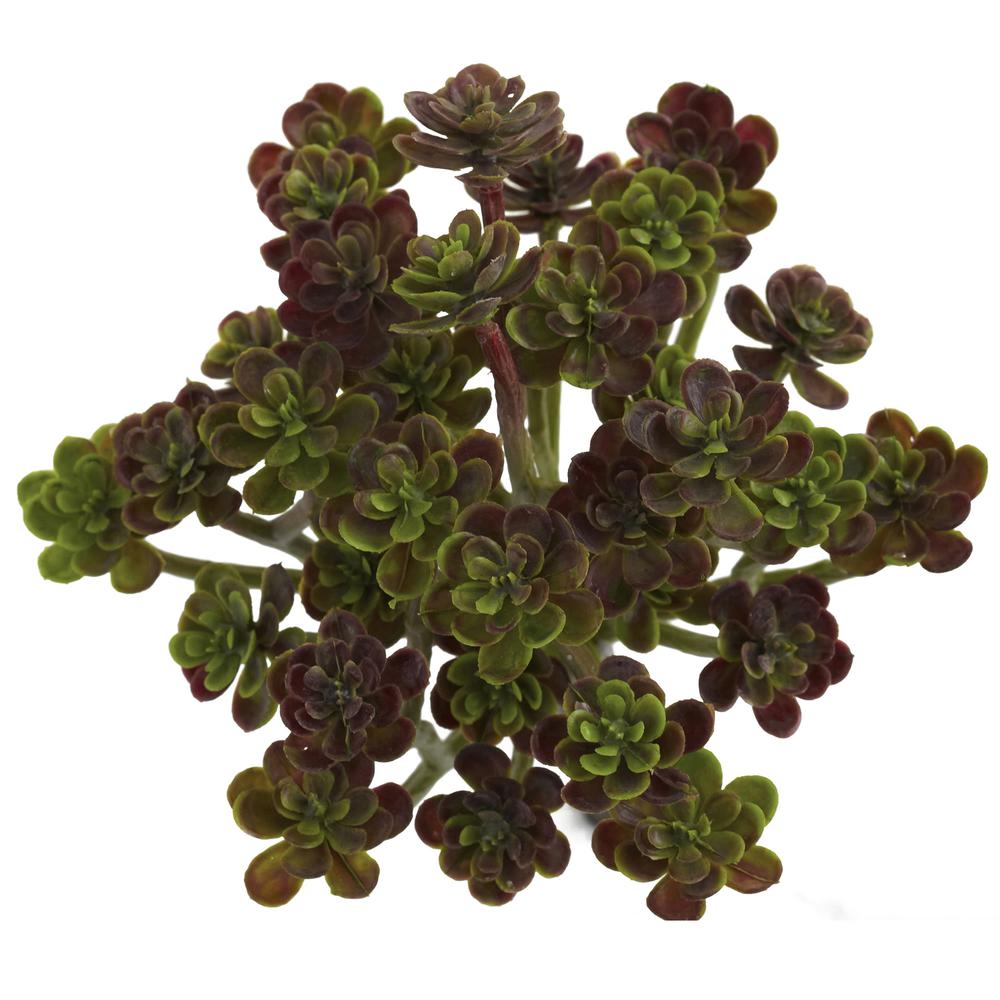7in. Sedum Succulent Artificial Plant (Set of 8). Picture 3