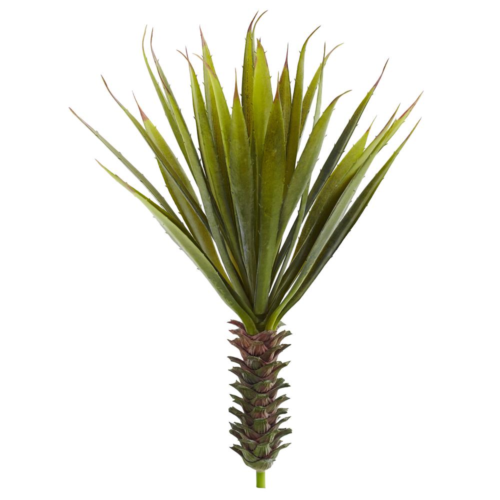 Spiky Agave Succulent Plant (Set of 2). Picture 1