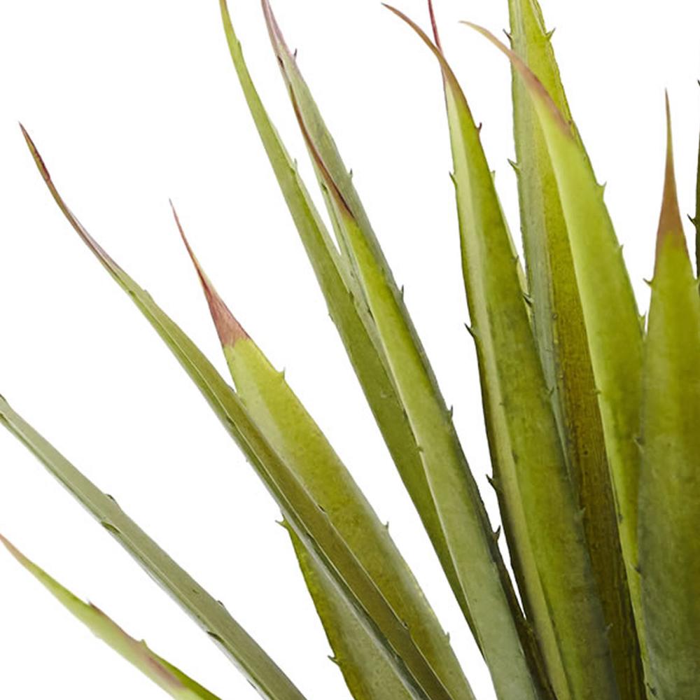 Spiky Agave Succulent Plant (Set of 2). Picture 3
