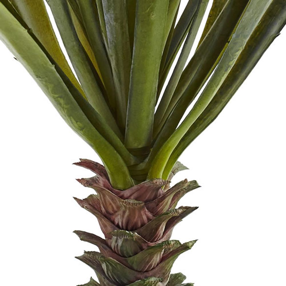 Spiky Agave Succulent Plant (Set of 2). Picture 2