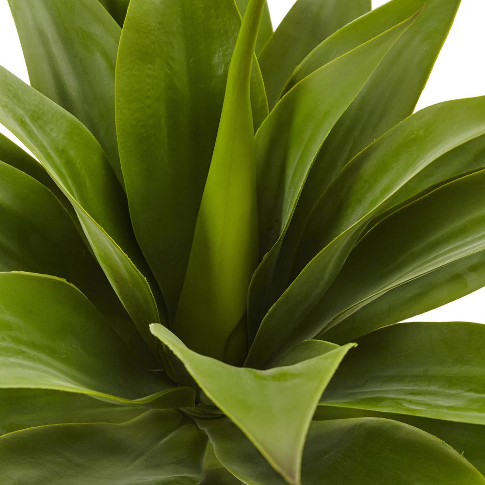 32in. Agave Plant with Stem. Picture 9