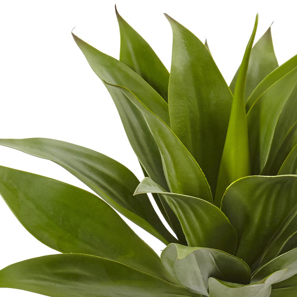 32in. Agave Plant with Stem. Picture 2