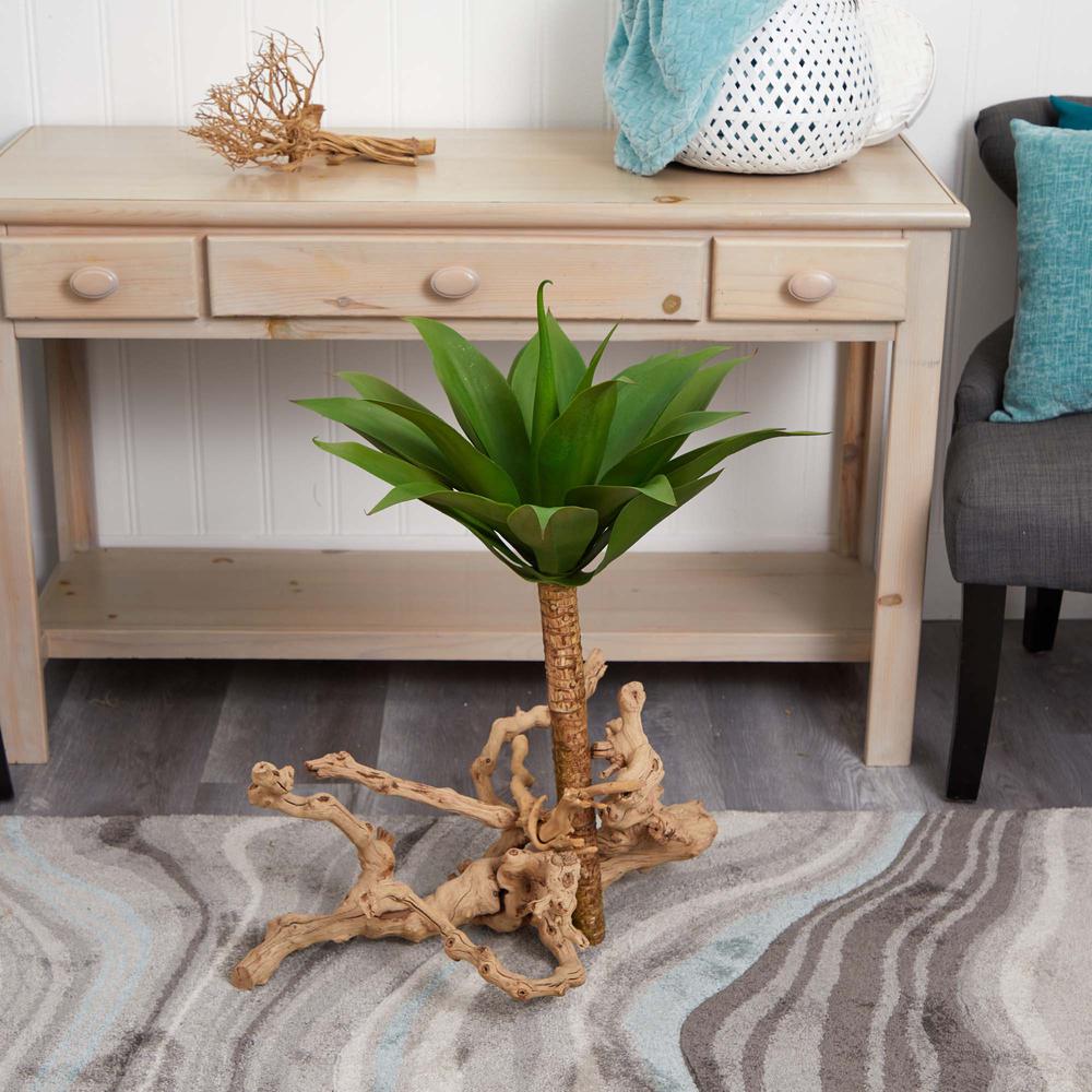 32in. Agave Plant with Stem. Picture 4