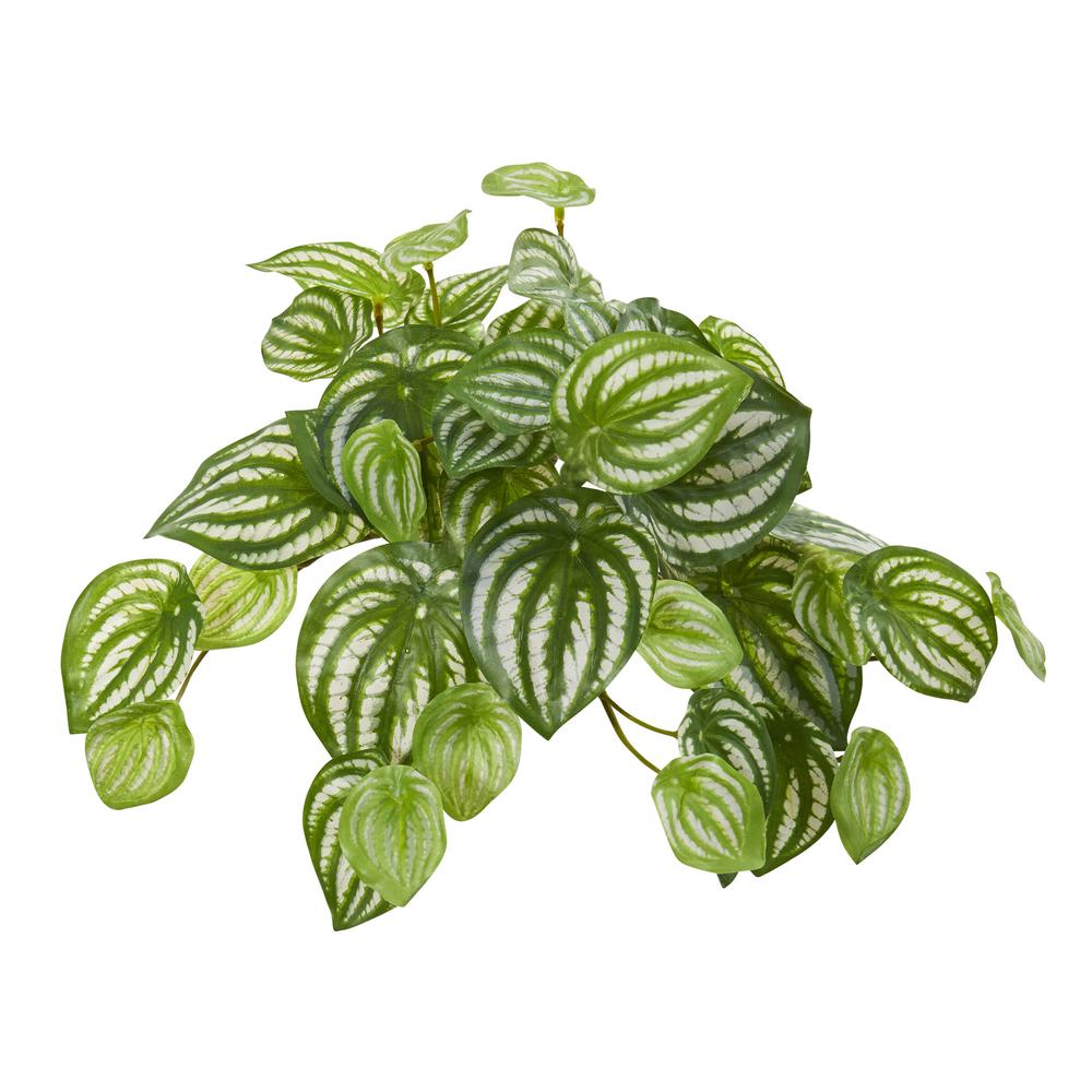 11in. Watermelon Peperomia Hanging Artificial Bush Plant (Set of 12) (Real Touch). Picture 1