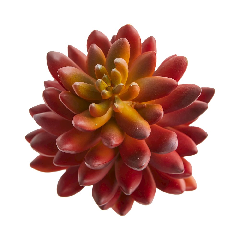 7.5in. Succulent Artificial Plant (Set of 6). Picture 2