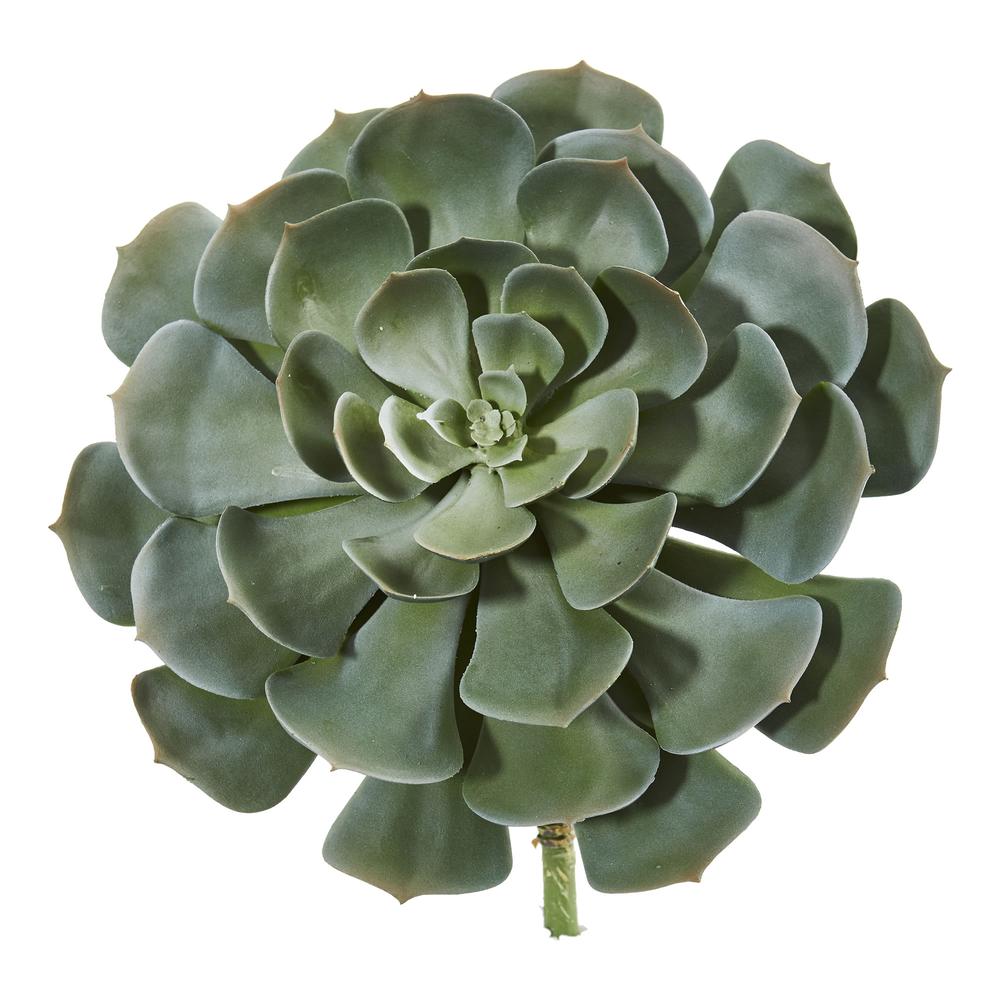 13in. Giant Echeveria Succulent Pick Artificial Plant (Set of 2). Picture 1