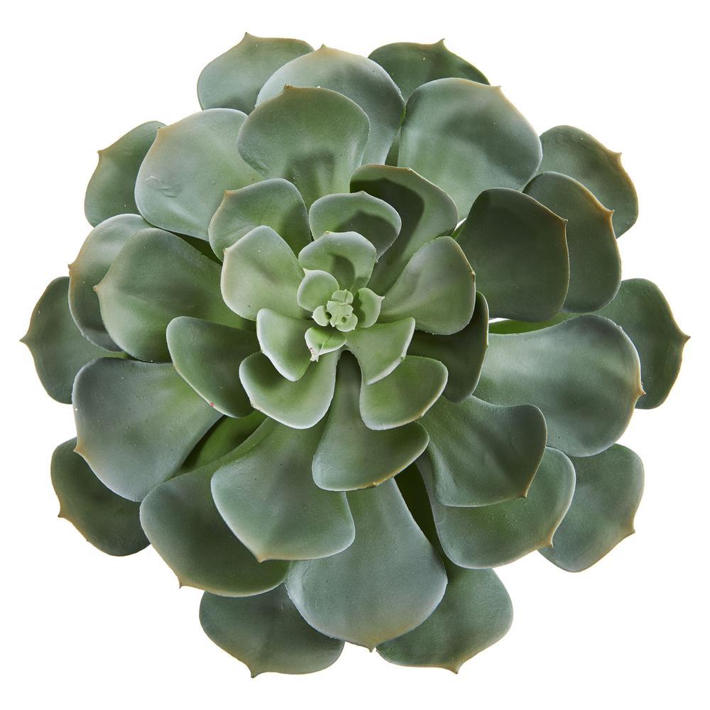 13in. Giant Echeveria Succulent Pick Artificial Plant (Set of 2). Picture 2
