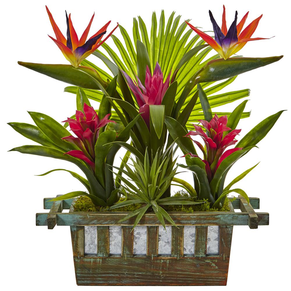 Bird of Paradise and Bromeliad in Planter. Picture 1