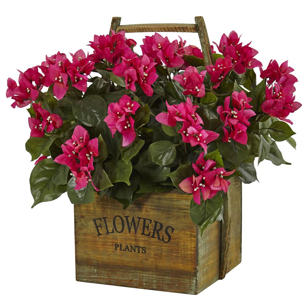 Bougainvillea Flowering Plant in Rustic Wood Planter. Picture 1