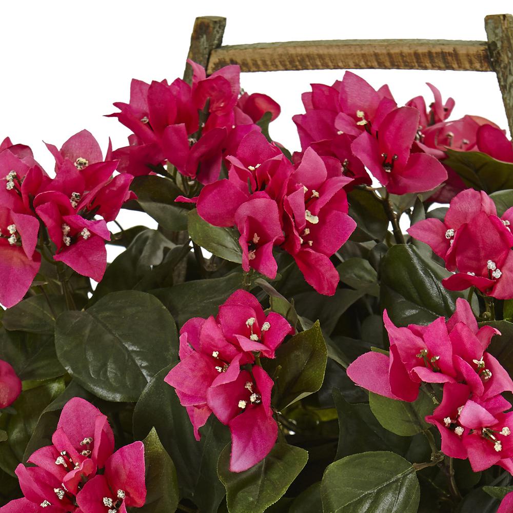 Bougainvillea Flowering Plant in Rustic Wood Planter. Picture 3