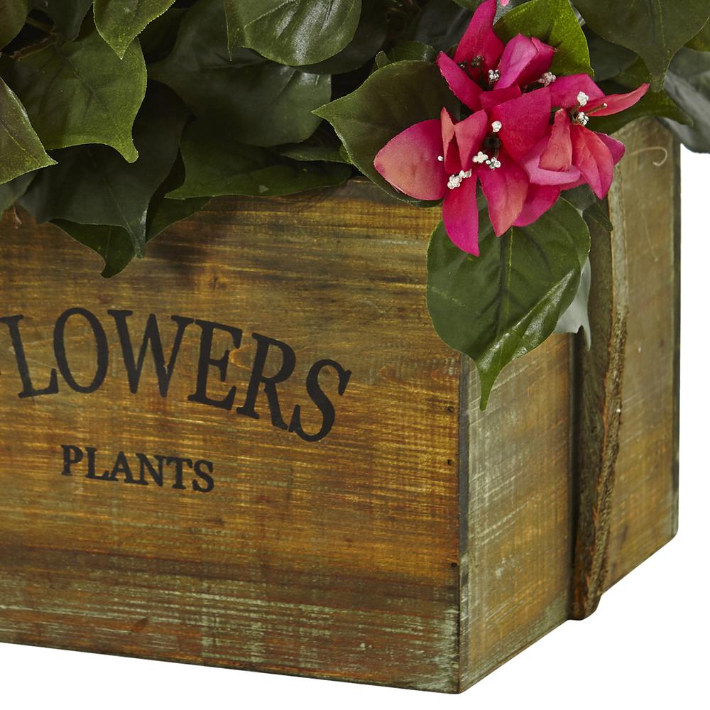 Bougainvillea Flowering Plant in Rustic Wood Planter. Picture 2