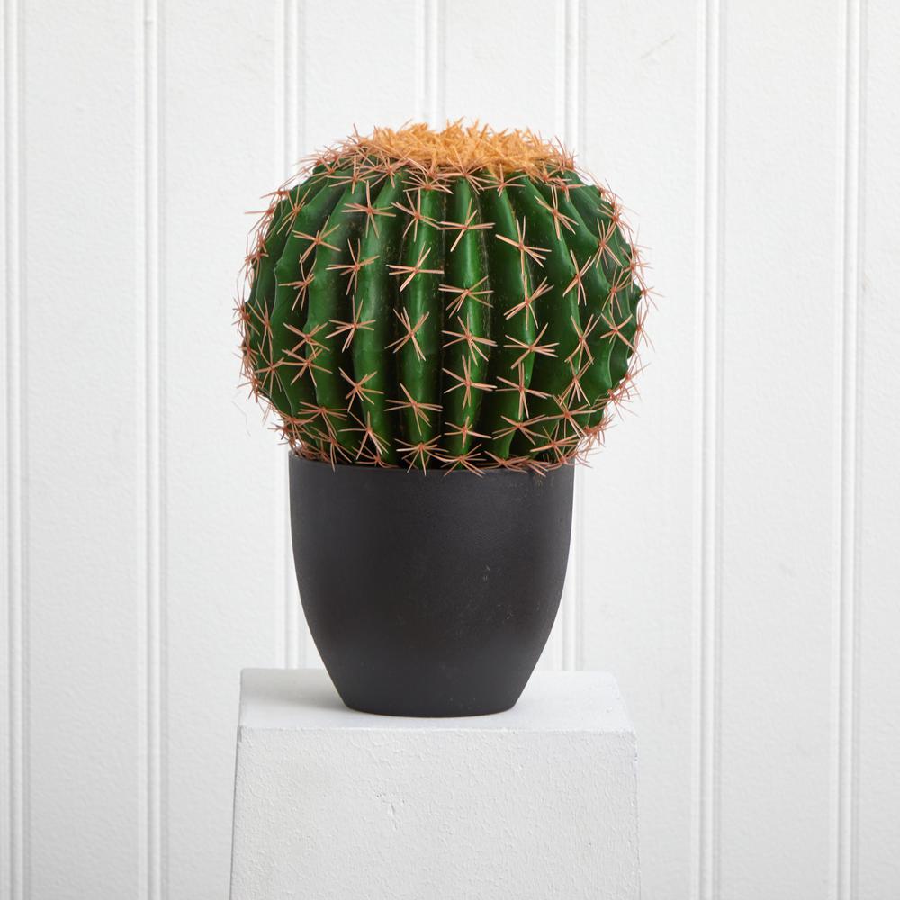 Cactus Artificial Plant. Picture 2