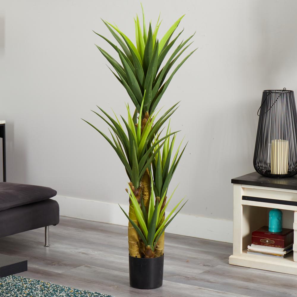 4.5ft. Dracaena Plant. Picture 2