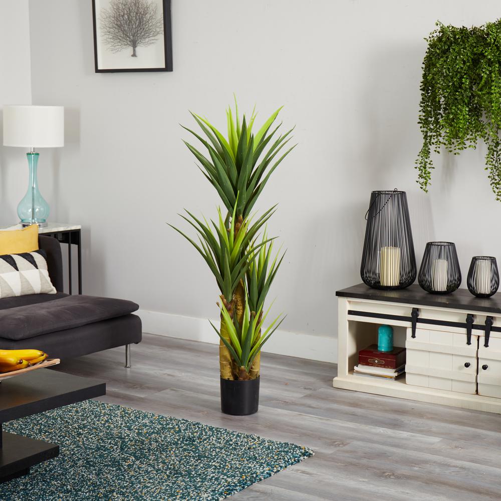 4.5ft. Dracaena Plant. Picture 3