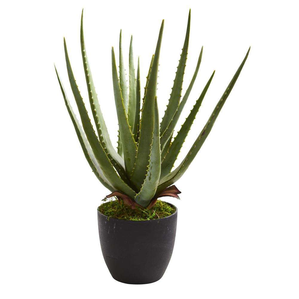 Aloe Artificial Plant (Set of 2). Picture 3
