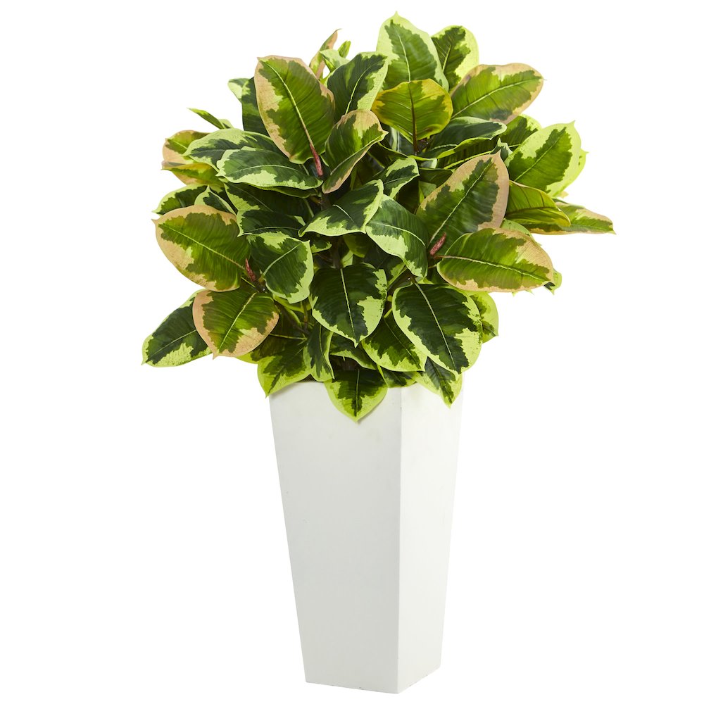 Variegated Rubber Artificial Plant in White Tower Planter (Real Touch). Picture 1
