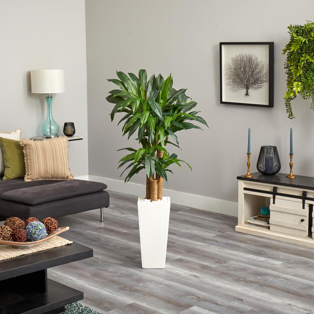 5ft. Cornstalk Dracaena Artificial Plant in White Tower Planter. Picture 2