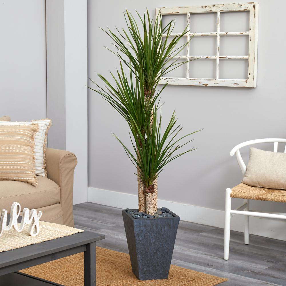 5.5ft. Triple Stalk Yucca Artificial Plant in Slate Planter. Picture 3