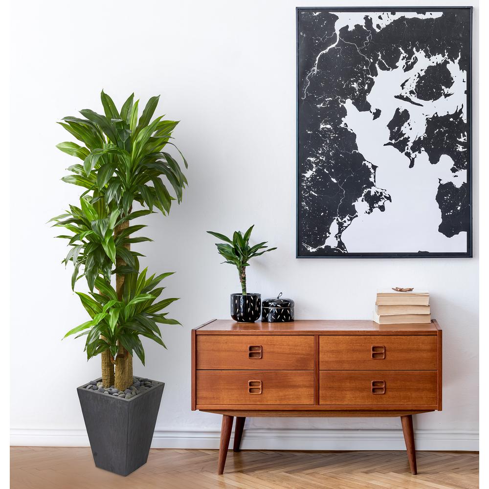5.5ft. Cornstalk Dracaena Artificial Plant in Slate Planter (Real Touch). Picture 3