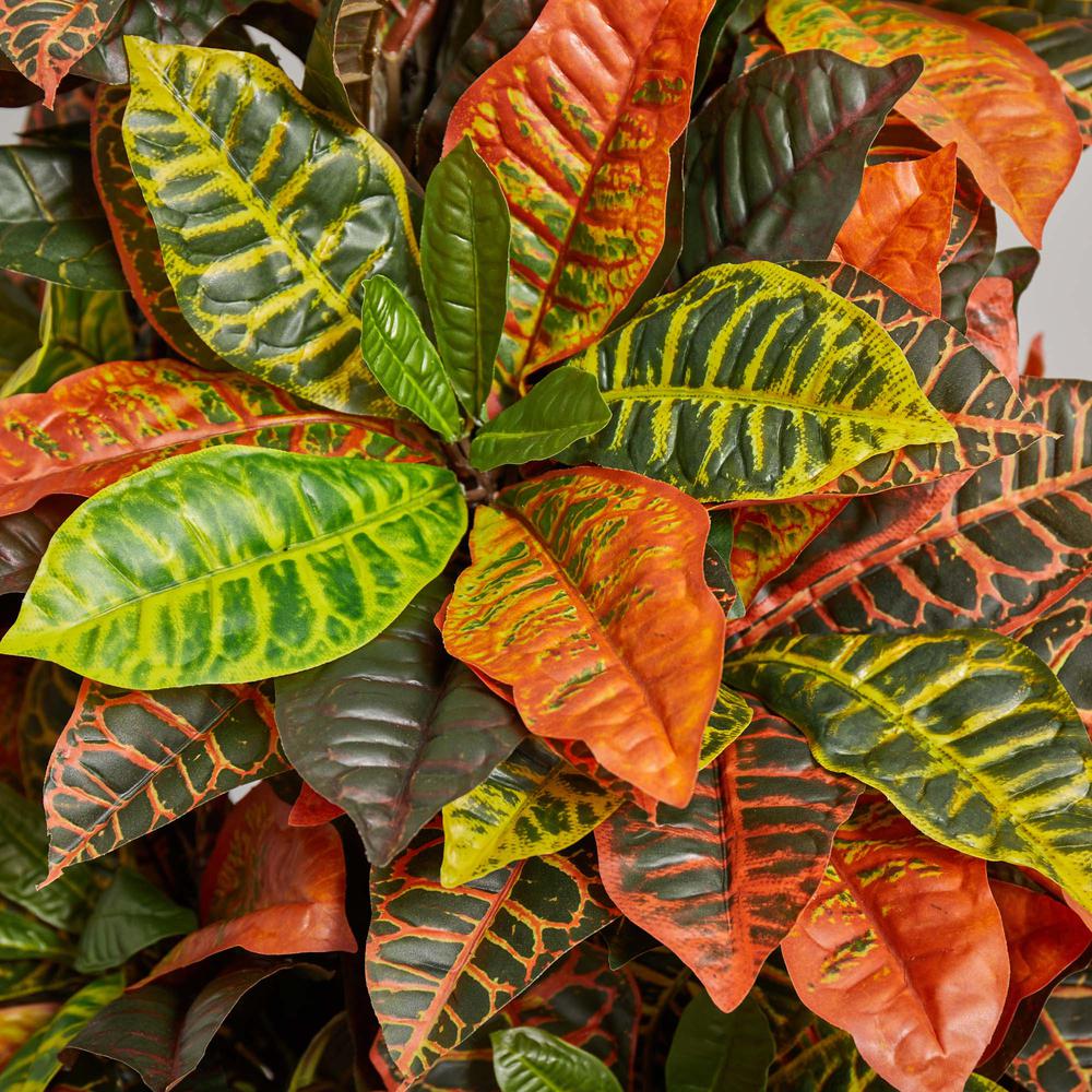 5.5ft. Croton Artificial Plant in Orange Planter (Real Touch). Picture 3