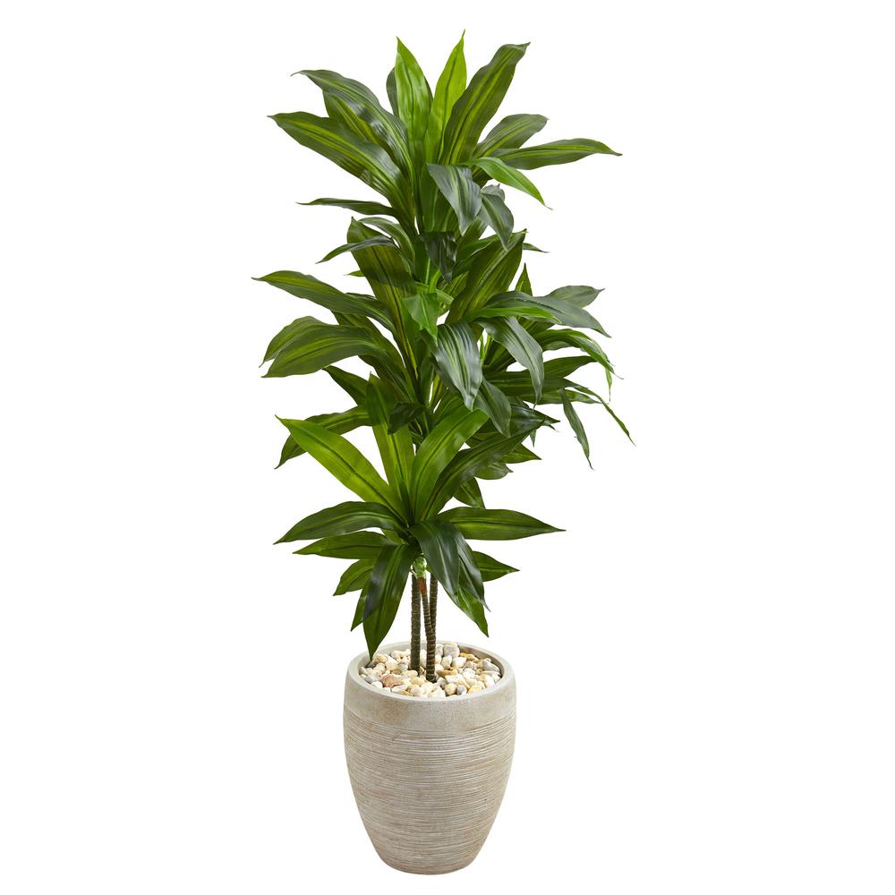 4ft. Dracaena Artificial Plant in Sand Colored Planter (Real Touch). Picture 1