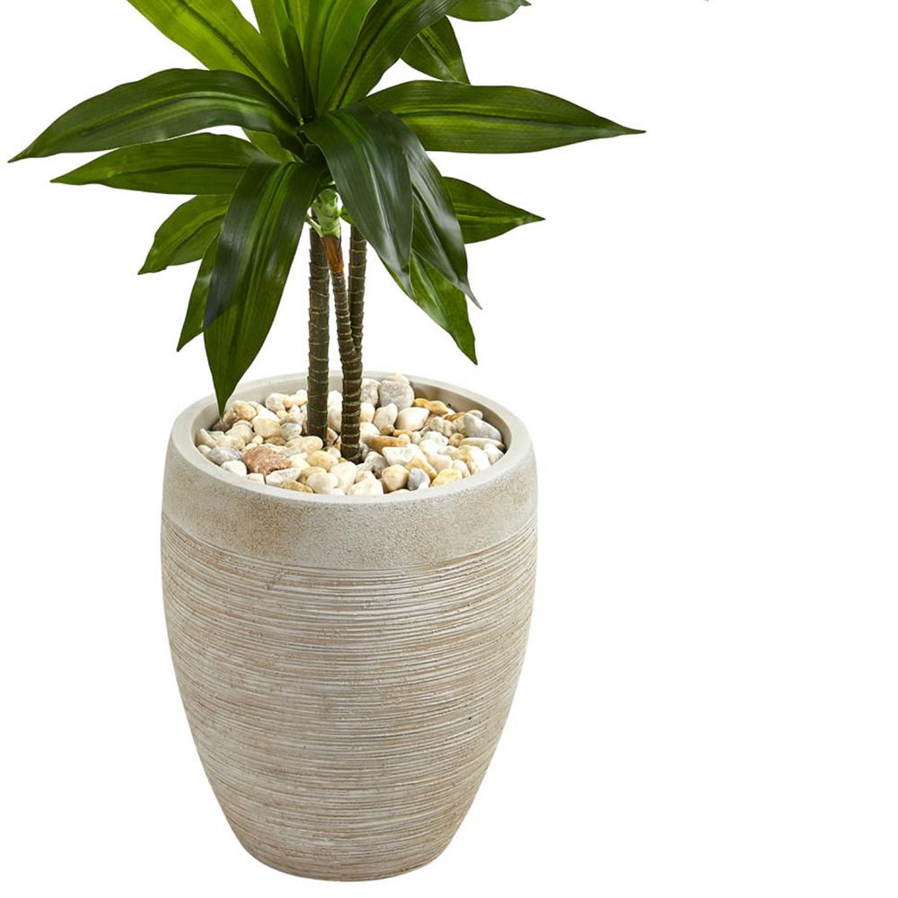 4ft. Dracaena Artificial Plant in Sand Colored Planter (Real Touch). Picture 4