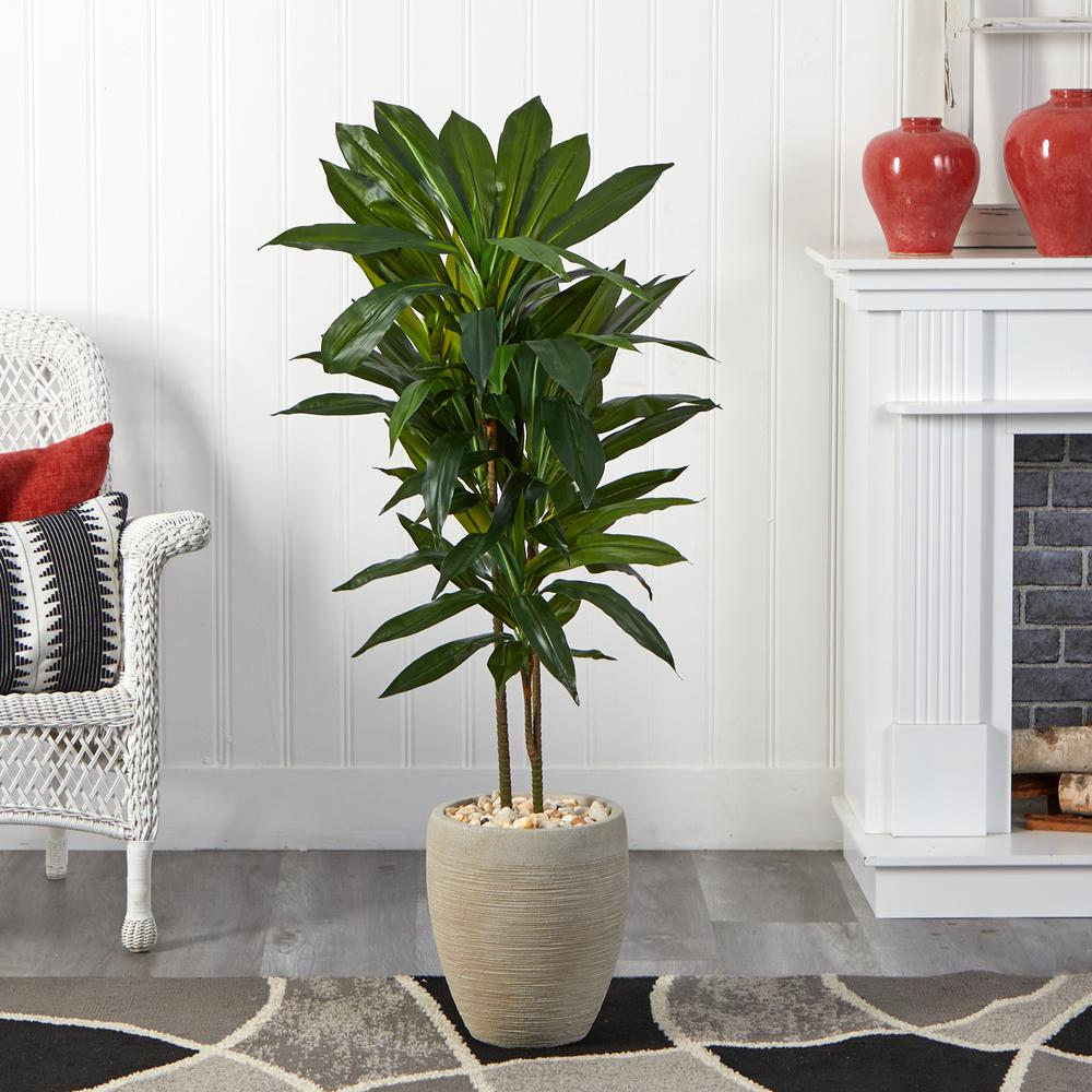 4ft. Dracaena Artificial Plant in Sand Colored Planter (Real Touch). Picture 2
