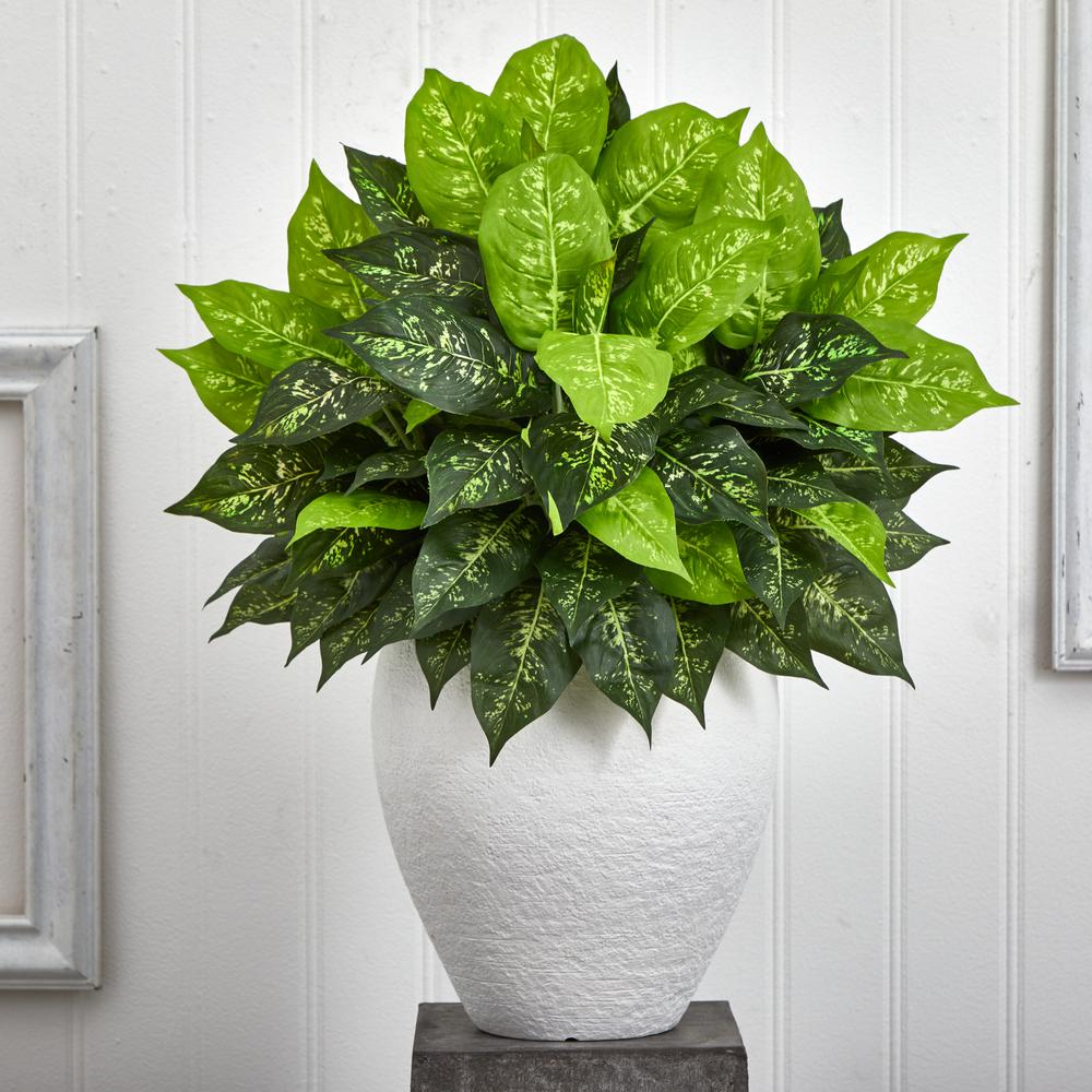 Dieffenbachia Artificial Plant in White Planter. Picture 3