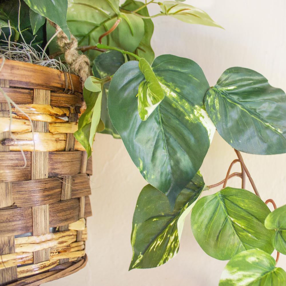 Pothos Hanging Basket Silk Plant. Picture 4