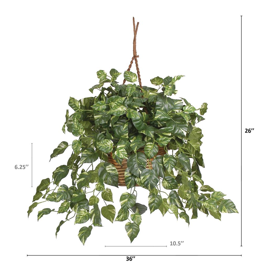 Pothos Hanging Basket Silk Plant. Picture 3