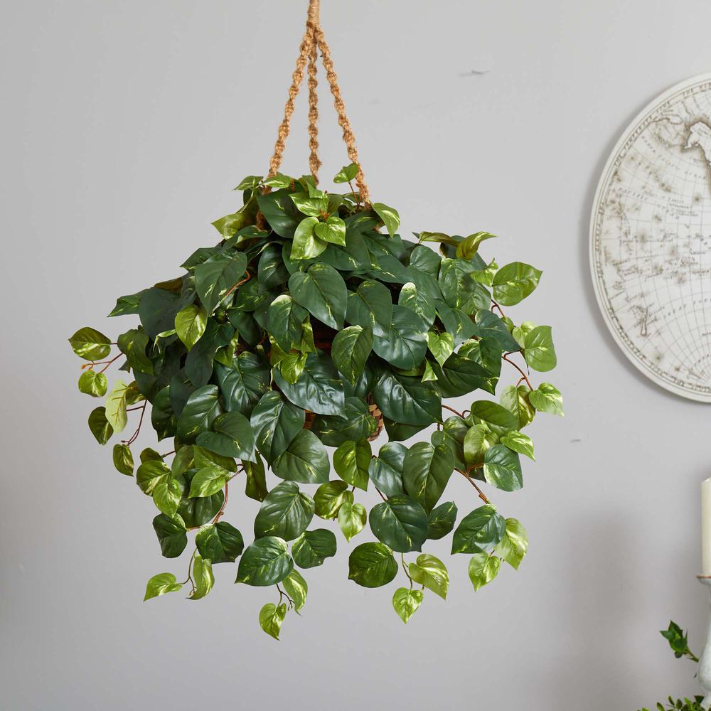 Pothos Hanging Basket Silk Plant. Picture 2