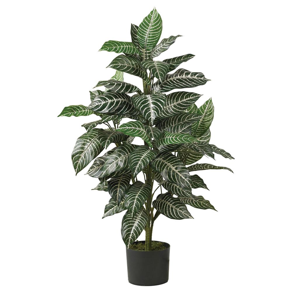 3ft. Zebra Silk Plant. Picture 1