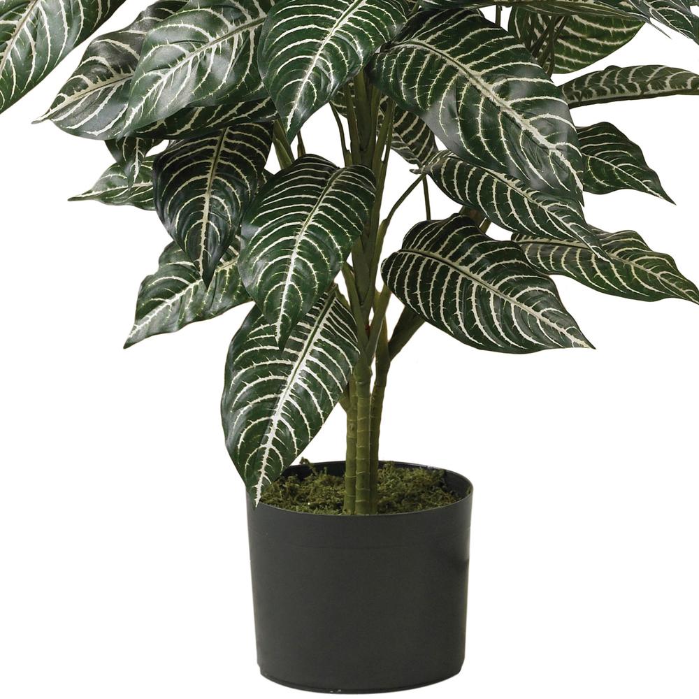 3ft. Zebra Silk Plant. Picture 2